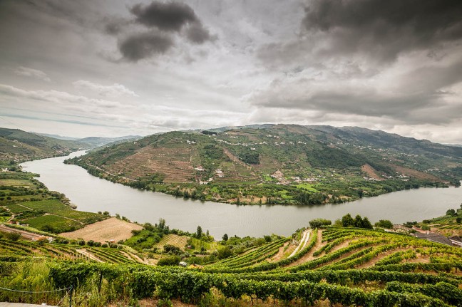 The best A beginner's guide to Portuguese wine wine styles for your wedding image by Mat's Eye